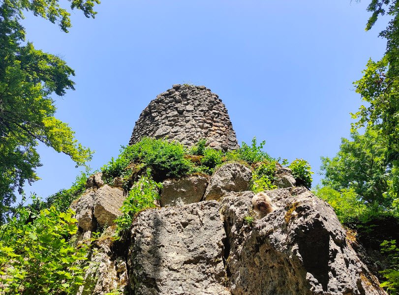 Ruine Alt Wartburg, Switzerland